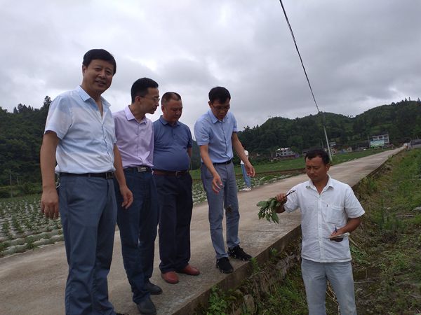 IMG_20190611_135812_副本.jpg IMG_20190611_135812_副本.jpg